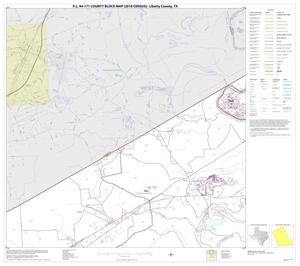 P.L. 94-171 County Block Map (2010 Census): Liberty County, Block 2