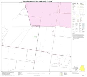 P.L. 94-171 County Block Map (2010 Census): Hidalgo County, Block 42