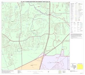 P.L. 94-171 County Block Map (2010 Census): Collin County, Block 53