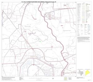 P.L. 94-171 County Block Map (2010 Census): Matagorda County, Block 15