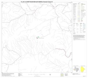 P.L. 94-171 County Block Map (2010 Census): Brewster County, Block 39