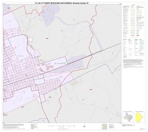 P.L. 94-171 County Block Map (2010 Census): Brewster County, Inset A02