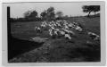 Primary view of [Unidentified Farm]