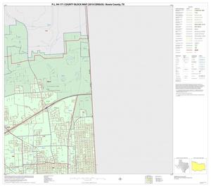 Primary view of object titled 'P.L. 94-171 County Block Map (2010 Census): Bowie County, Inset J02'.