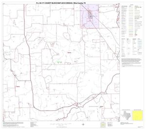 P.L. 94-171 County Block Map (2010 Census): Wise County, Block 17