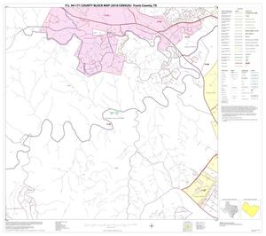 P.L. 94-171 County Block Map (2010 Census): Travis County, Block 32
