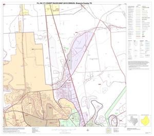 P.L. 94-171 County Block Map (2010 Census): Brazoria County, Block 33