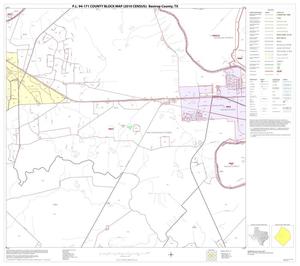 P.L. 94-171 County Block Map (2010 Census): Bastrop County, Block 17