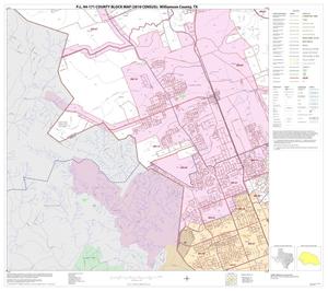 P.L. 94-171 County Block Map (2010 Census): Williamson County, Block 22