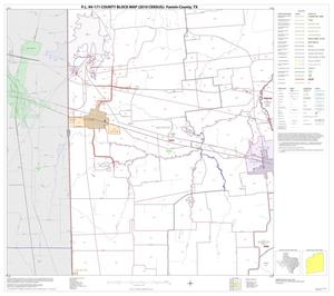 P.L. 94-171 County Block Map (2010 Census): Fannin County, Block 8