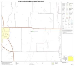 P.L. 94-171 County Block Map (2010 Census): Collin County, Block 28