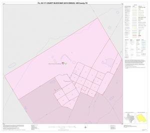 P.L. 94-171 County Block Map (2010 Census): Hill County, Inset N01