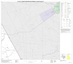 P.L. 94-171 County Block Map (2010 Census): Live Oak County, Block 12