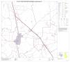 Primary view of P.L. 94-171 County Block Map (2010 Census): Live Oak County, Block 7