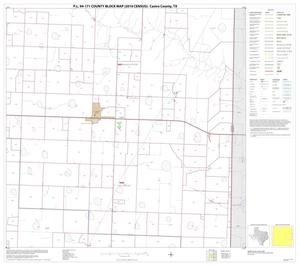 Primary view of object titled 'P.L. 94-171 County Block Map (2010 Census): Castro County, Block 6'.