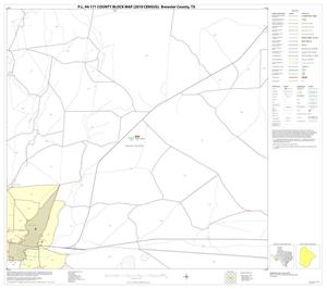 P.L. 94-171 County Block Map (2010 Census): Brewster County, Block 20