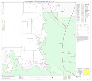 P.L. 94-171 County Block Map (2010 Census): Collin County, Block 77