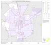 Primary view of P.L. 94-171 County Block Map (2010 Census): Trinity County, Inset B01