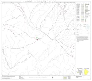 P.L. 94-171 County Block Map (2010 Census): Brewster County, Block 29