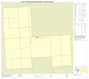 P.L. 94-171 County Block Map (2010 Census): Chambers County, Inset E01