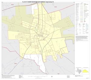 Primary view of object titled 'P.L. 94-171 County Block Map (2010 Census): Camp County, Inset B01'.