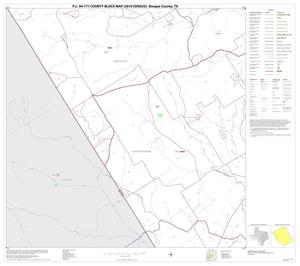 P.L. 94-171 County Block Map (2010 Census): Bosque County, Block 16