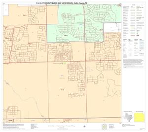 P.L. 94-171 County Block Map (2010 Census): Collin County, Block 51