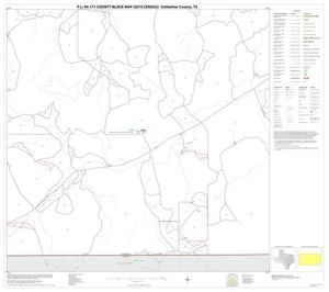 Primary view of object titled 'P.L. 94-171 County Block Map (2010 Census): Schleicher County, Block 17'.