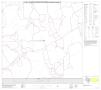 Primary view of P.L. 94-171 County Block Map (2010 Census): Schleicher County, Block 17