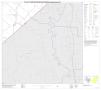 Map: P.L. 94-171 County Block Map (2010 Census): Gonzales County, Block 21
