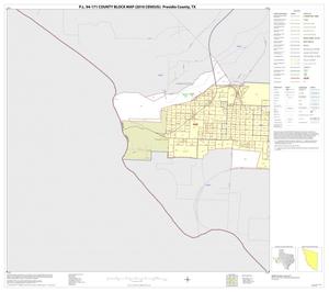 P.L. 94-171 County Block Map (2010 Census): Presidio County, Inset B01