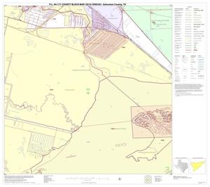 P.L. 94-171 County Block Map (2010 Census): Galveston County, Block 41