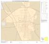 Primary view of P.L. 94-171 County Block Map (2010 Census): Wise County, Inset C01