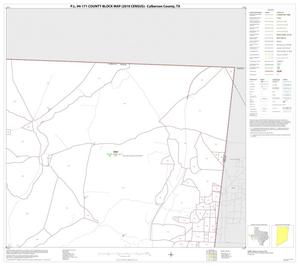 P.L. 94-171 County Block Map (2010 Census): Culberson County, Block 6