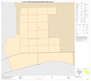 P.L. 94-171 County Block Map (2010 Census): Webb County, Inset E01