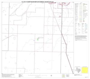 P.L. 94-171 County Block Map (2010 Census): Randall County, Block 10