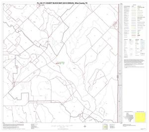 P.L. 94-171 County Block Map (2010 Census): Wise County, Block 10