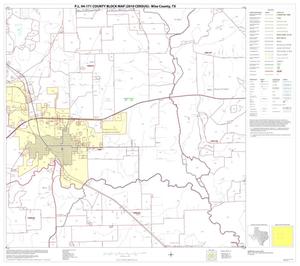 P.L. 94-171 County Block Map (2010 Census): Wise County, Block 13
