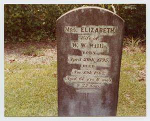 Primary view of object titled '[Grave Marker of Elizabeth Middlebrook Willis]'.