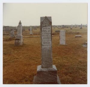 [Grave Marker of Julia Mitchell]