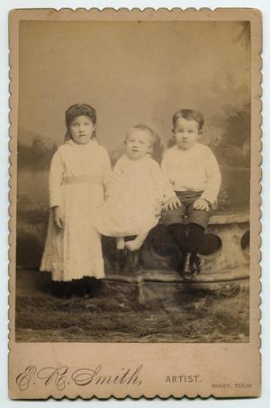 Primary view of [The Welch Children]