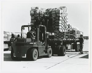 Primary view of object titled '[Cargo on Truck]'.