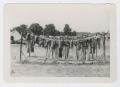 Thumbnail image of item number 1 in: '[Laundry Day]'.