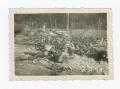 Photograph: [Corpses in Germany]