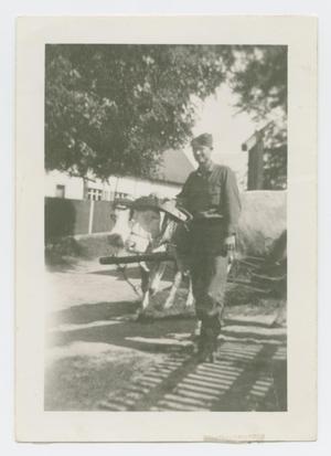 Primary view of object titled '[Homer Petross With Oxen]'.