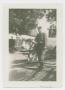 Thumbnail image of item number 1 in: '[Homer Petross With Oxen]'.