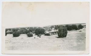Primary view of object titled '[Armored Artillery at Camp Barkeley]'.