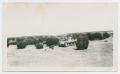Thumbnail image of item number 1 in: '[Armored Artillery at Camp Barkeley]'.