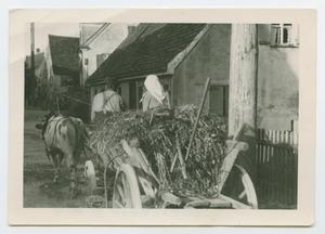 Primary view of object titled '[Farm Couple on Wagon]'.