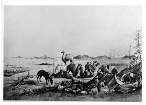 [Typical US Army Camel Corps camp]